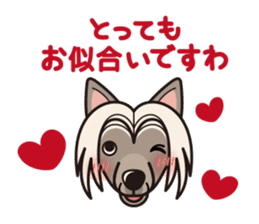 iinu - Chinese Crested Dog sticker #9119259