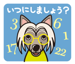 iinu - Chinese Crested Dog sticker #9119260