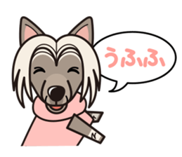 iinu - Chinese Crested Dog sticker #9119262