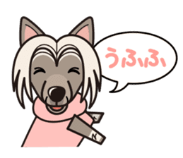 iinu - Chinese Crested Dog sticker #9119262