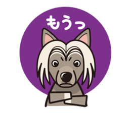 iinu - Chinese Crested Dog sticker #9119263