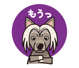 iinu - Chinese Crested Dog sticker #9119263