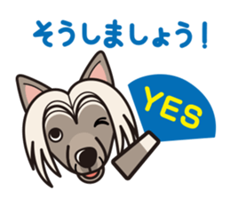 iinu - Chinese Crested Dog sticker #9119264