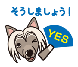 iinu - Chinese Crested Dog sticker #9119264