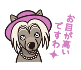 iinu - Chinese Crested Dog sticker #9119265