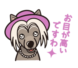 iinu - Chinese Crested Dog sticker #9119265