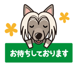 iinu - Chinese Crested Dog sticker #9119266