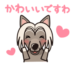 iinu - Chinese Crested Dog sticker #9119268