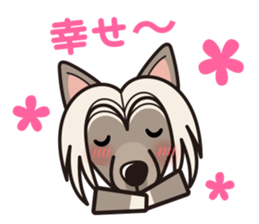 iinu - Chinese Crested Dog sticker #9119269
