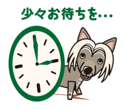 iinu - Chinese Crested Dog sticker #9119271