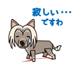 iinu - Chinese Crested Dog sticker #9119274