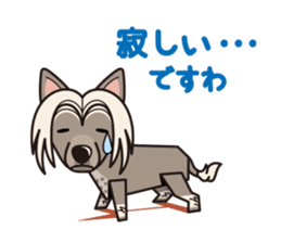 iinu - Chinese Crested Dog sticker #9119274