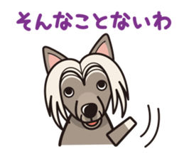 iinu - Chinese Crested Dog sticker #9119275