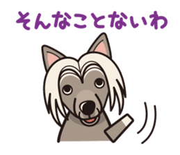 iinu - Chinese Crested Dog sticker #9119275