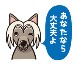 iinu - Chinese Crested Dog sticker #9119276