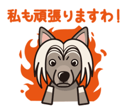 iinu - Chinese Crested Dog sticker #9119277