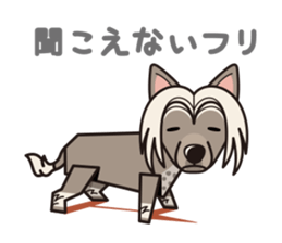 iinu - Chinese Crested Dog sticker #9119278