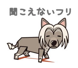 iinu - Chinese Crested Dog sticker #9119278