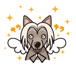 iinu - Chinese Crested Dog sticker #9119279