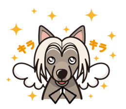 iinu - Chinese Crested Dog sticker #9119279