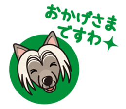 iinu - Chinese Crested Dog sticker #9119280