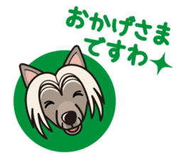 iinu - Chinese Crested Dog sticker #9119280
