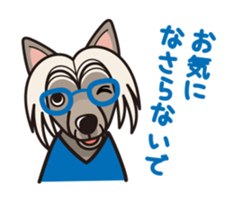 iinu - Chinese Crested Dog sticker #9119281