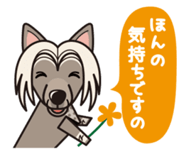 iinu - Chinese Crested Dog sticker #9119282