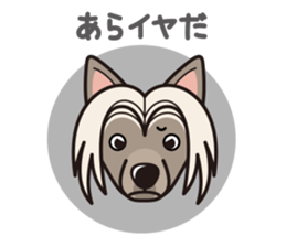 iinu - Chinese Crested Dog sticker #9119283