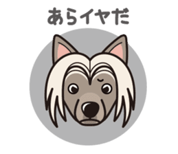 iinu - Chinese Crested Dog sticker #9119283