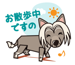 iinu - Chinese Crested Dog sticker #9119284