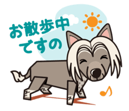 iinu - Chinese Crested Dog sticker #9119284
