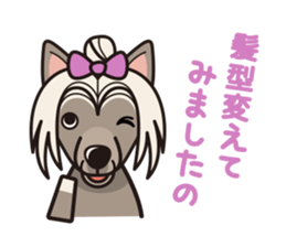 iinu - Chinese Crested Dog sticker #9119286