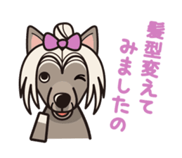 iinu - Chinese Crested Dog sticker #9119286
