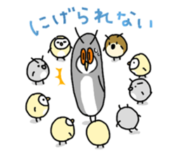 owl sticker 3 sticker #9119297