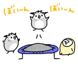 owl sticker 3 sticker #9119299