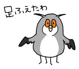 owl sticker 3 sticker #9119309