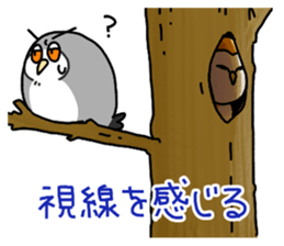 owl sticker 3 sticker #9119314
