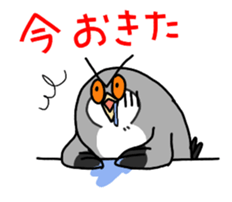 owl sticker 3 sticker #9119317