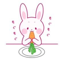 Colorful USAGI sticker #9120011