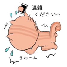 Squirrel 's Sticker sticker #9120292