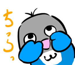 Blue button parakeets Sticker sticker #9121142