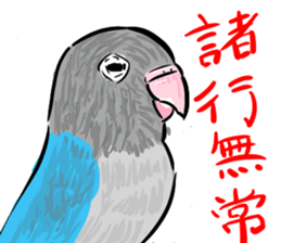 Blue button parakeets Sticker sticker #9121158