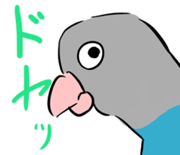 Blue button parakeets Sticker sticker #9121163