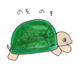 TurtleTurtle sticker #9122768