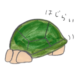 TurtleTurtle sticker #9122773
