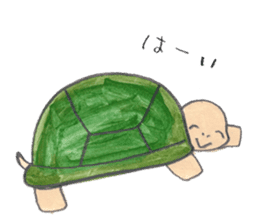 TurtleTurtle sticker #9122774