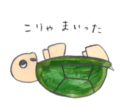TurtleTurtle sticker #9122777