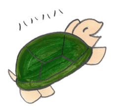 TurtleTurtle sticker #9122781