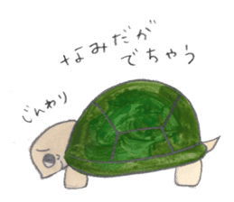 TurtleTurtle sticker #9122785